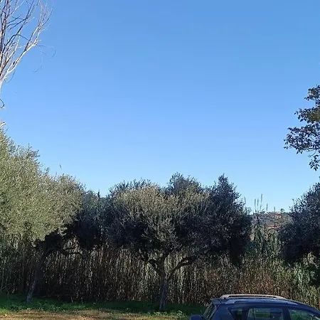 Sonia's House - Free Garage, Ac E Wifi Apartmán